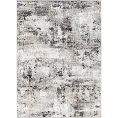 Livabliss Allegro ALG-2308 Machine Crafted Area Rug ALG2308-537